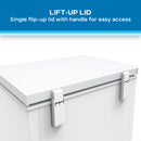 Avanti 5.0 cu. ft. Garage Ready Convertible Chest Freezer