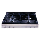 Avanti ELITE Series 20" Gas Range Oven