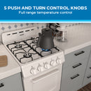 Avanti 20" Gas Range Oven