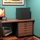 Avanti 1.6 cu. ft. Compact Refrigerator